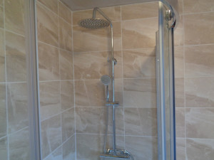 Thermostatic Wall Shower