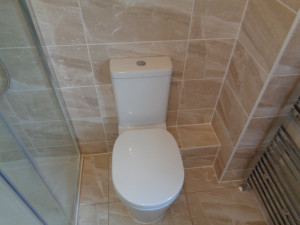 Toilet with Hidden Waste Pipe