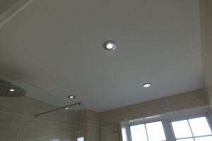 Bathroom LED Down Lights 