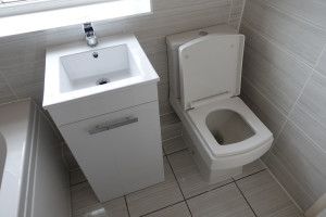 40cm Vanity Storage Basin and Square modern toilet
