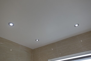 Bathroom LED ceiling mounted lights