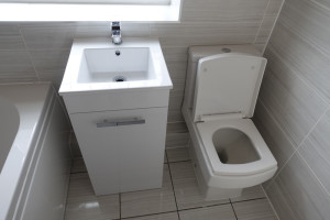 Modern Bathroom Basin and Toilet