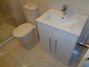 Vanity Basin and WC Fitted in Ensuite