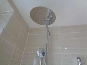 Fixed rain shower head