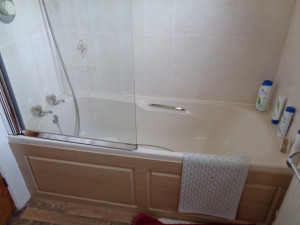 Image of the Bathroom before the renovation begins