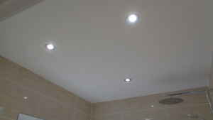 Bathroom led ceiling lights