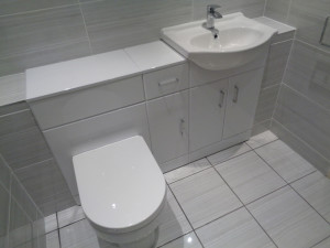 Bathroom Toilet and Basin with built in under cupboard storage