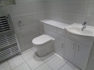 Combined toilet and basin with built in bathroom storage