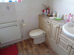 Image of the bathroom toilet and basin before renovation begins