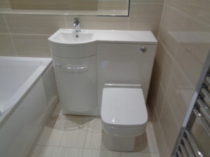 Bathroom storage with Basin and Toilet
