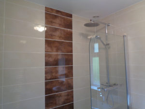 Bathroom Feature wall using Johnson Cream and Bronze Zeppelin TIles
