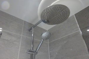 Dual head shower fixed rain head a hand held remote shower