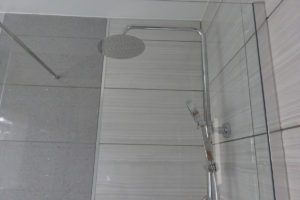 Mobility Bathroom with wall mounted thermostatic shower