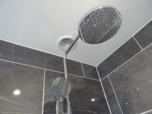 Thermostatic shower with ceiling extractor fan