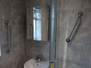 Mobility bathroom with Grab rails