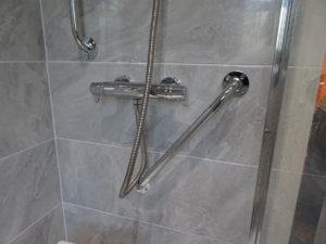 Easy to use shower with levers